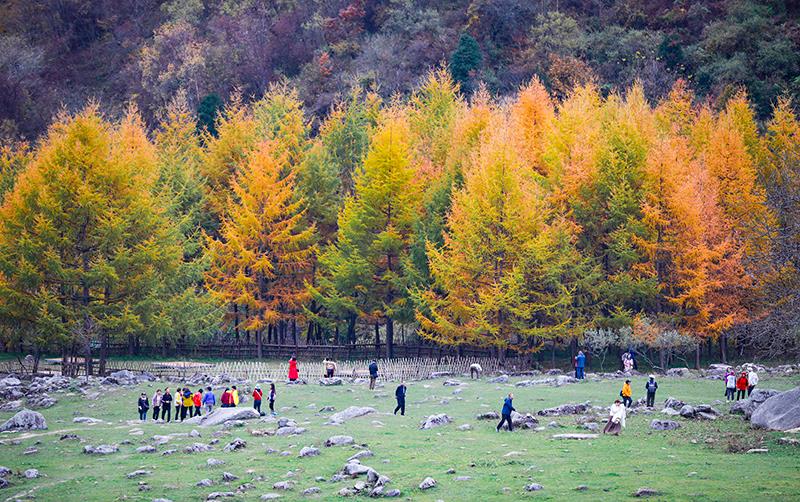 2023年10月27日，深秋时节的陕西秦岭太子岭漫山红黄、色彩交织，进入最佳观赏期。