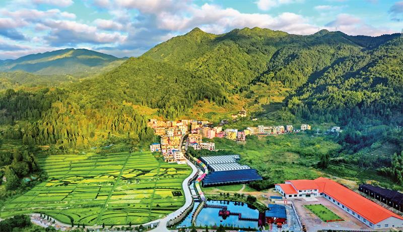 林茂田丰、天蓝水清的“七彩”后洋村。 宁德市委宣传部供图 （2023年第24期《求是》杂志刊发）
