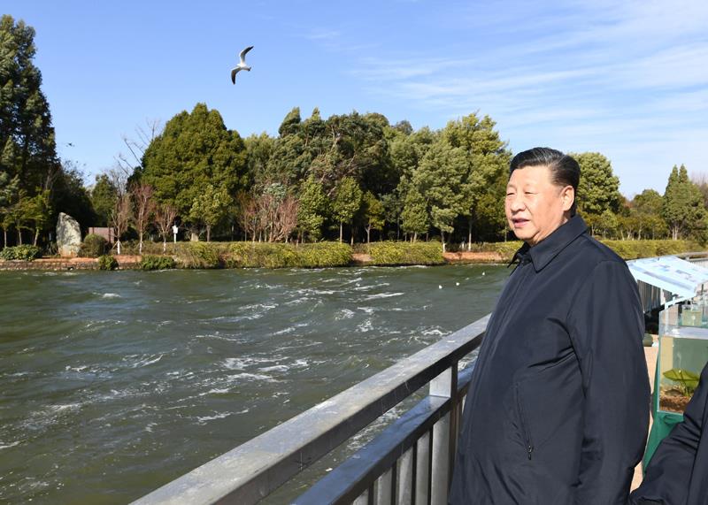 2020年1月20日下午，习近平总书记在云南昆明滇池星海半岛生态湿地考察调研。