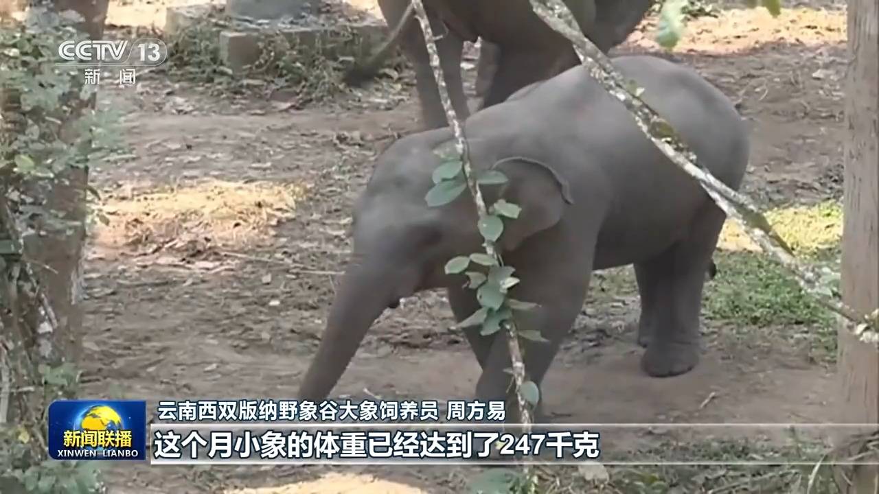 文章配图-1