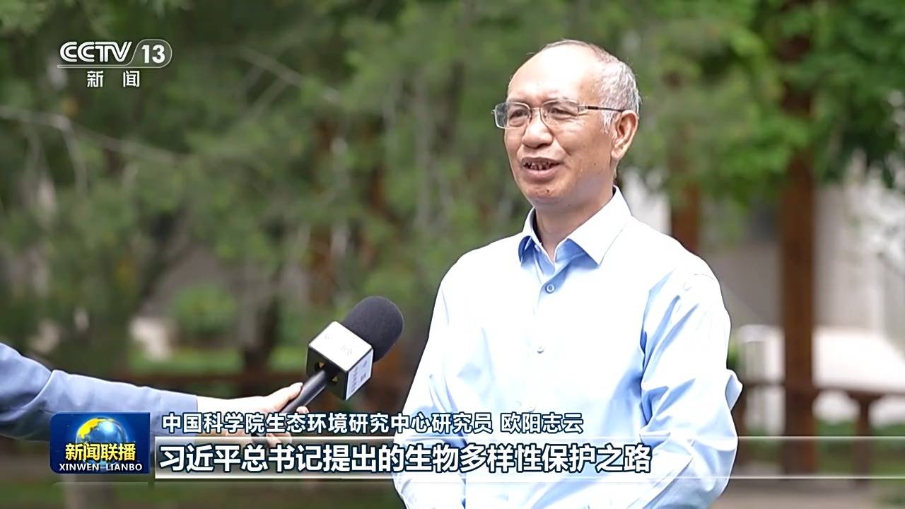 文章配图-2