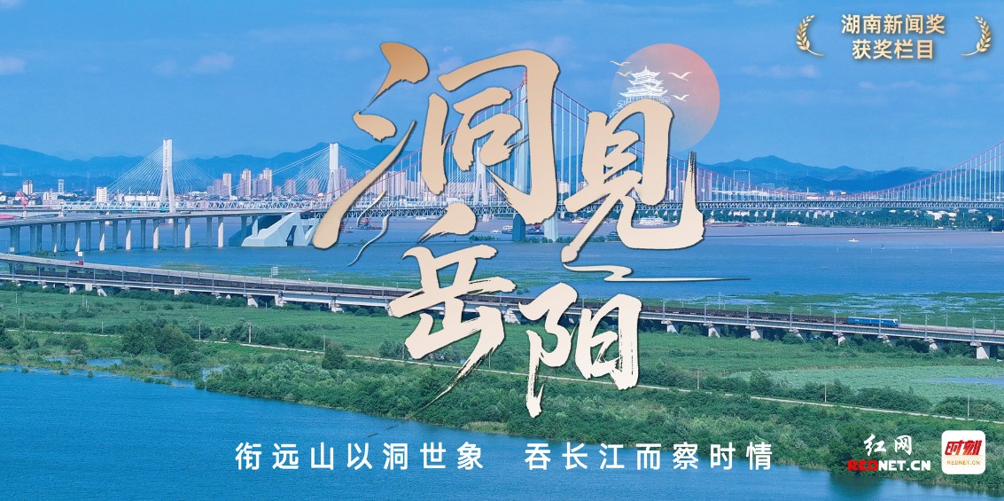 洞见文中图.png