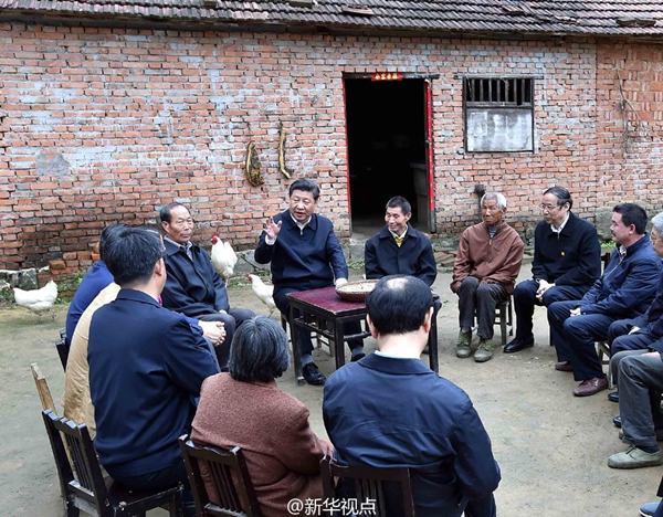 【讲习所·我们的长征路】大别山深处的“红”与“绿”